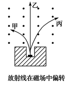 图片_x0020_100004