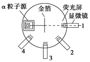 图片_x0020_1037113543