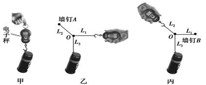 图片_x0020_100012