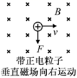 图片_x0020_100019