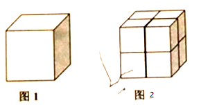 图片_x0020_100030