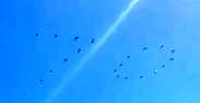 图片_x0020_1953651498