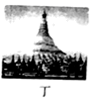 图片_x0020_100013