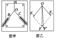 图片_x0020_100007