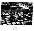 图片_x0020_100012