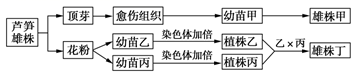 图片_x0020_758653066