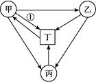 图片_x0020_100003