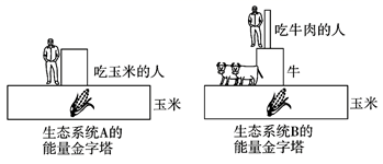 图片_x0020_1295132259