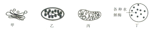 图片_x0020_949888791