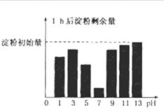 图片_x0020_100012