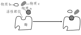 图片_x0020_100009