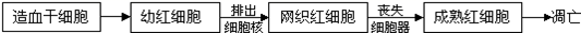 图片_x0020_246517217