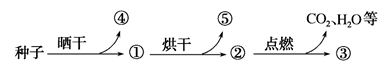 图片_x0020_100009