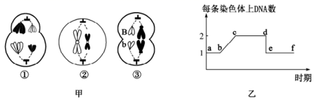 图片_x0020_1591772417