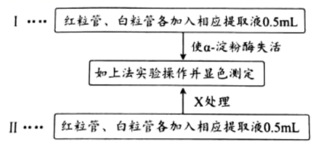 图片_x0020_100011