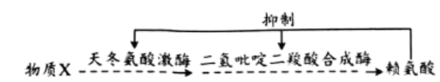 图片_x0020_100005