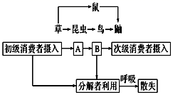 图片_x0020_918889568