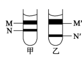 图片_x0020_5757269