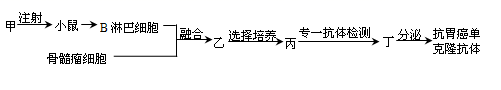 图片_x0020_984127515