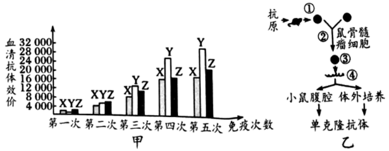 图片_x0020_100020