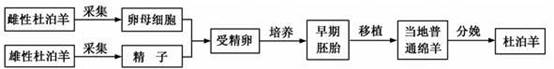 图片_x0020_858266680