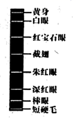图片_x0020_1685133170