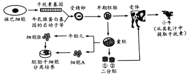 图片_x0020_100021