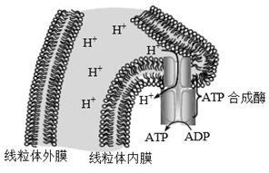 图片_x0020_100001