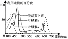 图片_x0020_100017