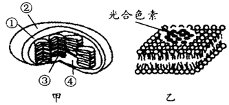 图片_x0020_882124000