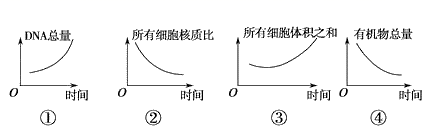 图片_x0020_100001