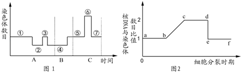 图片_x0020_100014