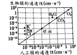 图片_x0020_100008