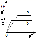 图片_x0020_1061898004