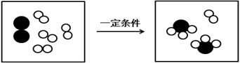 图片_x0020_100003