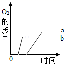 图片_x0020_1736410735