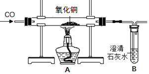 图片_x0020_100016