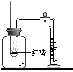 图片_x0020_788243237
