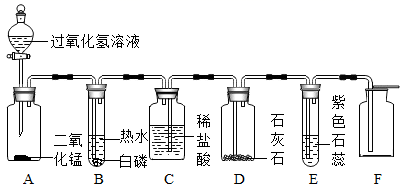 图片_x0020_1096145990