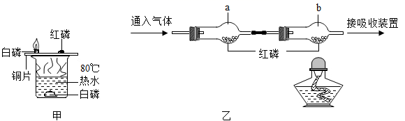 图片_x0020_2126179845