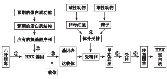 图片_x0020_100010