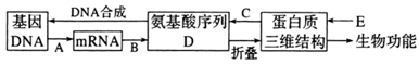 图片_x0020_100003