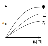 图片_x0020_1029795574