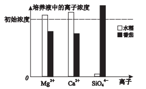 图片_x0020_100009