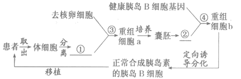 图片_x0020_100002