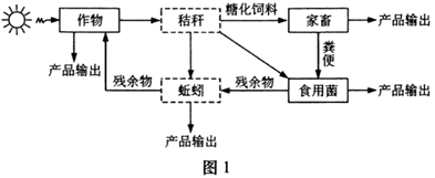 图片_x0020_100016