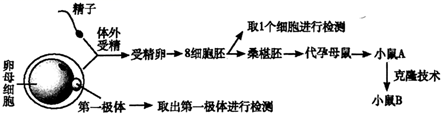 图片_x0020_100018