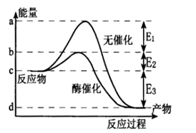 图片_x0020_100009