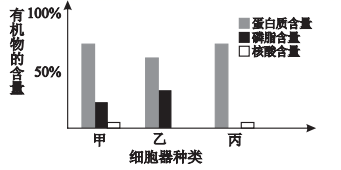 图片_x0020_100001