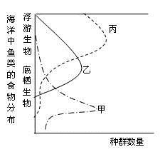 图片_x0020_100001